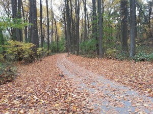 sligo creek parkway